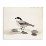 Pair of Vintage Watercolor Bird Prints: Classic Avian Elegance - Artful Décor Image 2 from curat'd walls