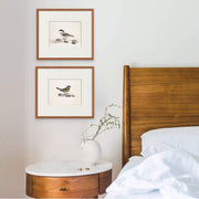 Pair of Vintage Watercolor Bird Prints: Classic Avian Elegance - Artful Décor from curat'd walls