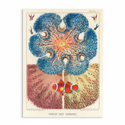 Oceanic Echoes: Dive into History with 6 Vintage Great Barrier Reef Prints