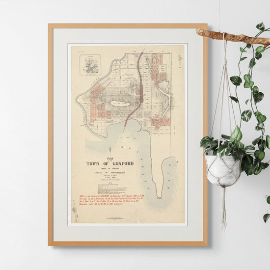 Vintage Map of Gosford, NSW 1887 - Curat'd Walls