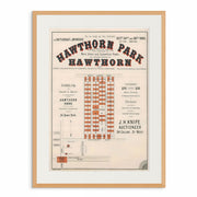 1885 print advertisement for the historic 'Hawthorn Park Estate' real estate auction, showcasing land subdivision plans oak frame. Created by Curat'd Walls.