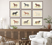 Vintage Horse Illustrations 9-Piece Gallery Wall Set from The Stables: Stunning Artwork Collection for Equine Enthusiasts and Home Decor Enthusiasts alike, showcasing Equestrian Charm and Timeless Beauty - Perfect for Rustic and Vintage-themed Interiors from curat'd walls