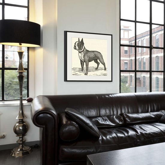 The Boss: 19th Century Boston Terrier Illustration in Black and White - Vintage Art Print from Curat'd Walls, Ideal Decor for Dog Lovers and Vintage Enthusiasts.