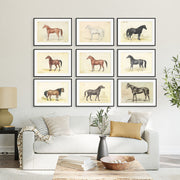 Vintage Horse Illustrations 9-Piece Gallery Wall Set from The Stables: Stunning Artwork Collection for Equine Enthusiasts and Home Decor Enthusiasts alike, showcasing Equestrian Charm and Timeless Beauty - Perfect for Rustic and Vintage-themed Interiors from curat'd walls