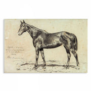 Vintage Horse Illustrations 9-Piece Gallery Wall Set from The Stables: Stunning Artwork Collection for Equine Enthusiasts and Home Decor Enthusiasts alike, showcasing Equestrian Charm and Timeless Beauty - Perfect for Rustic and Vintage-themed Interiors from curat'd walls